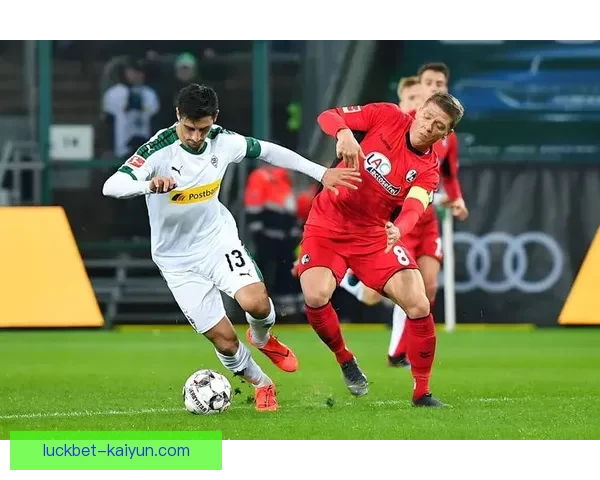 德甲弗赖堡引援形势分析：新援能否提升球队竞争力