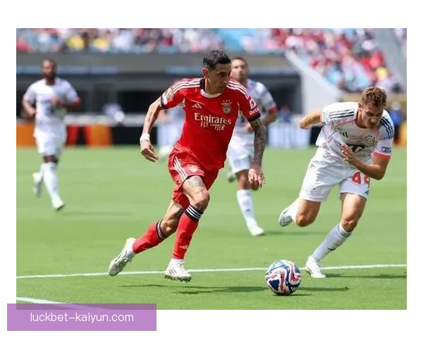 本菲卡近期表现稳健，分析其在新赛季中的状态与发展趋势